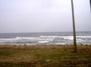 2009-mars-furuboda-yngsjo