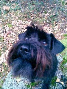 3389236468_54a2feca76