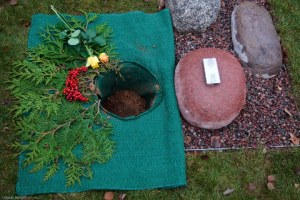 2009_11_10-15_45_52-6651_1600L