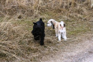 Furuboda 28 mars 033