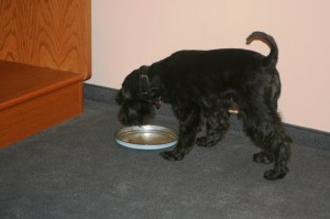 Stina äter i Wittenberg