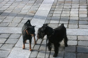 Påskdagen i Bad Ischl 005