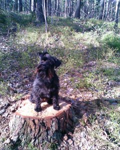 2010-05-12 Hemma 024