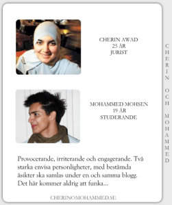 profil-beskrivning_61397992_89547885