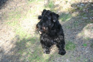 Urax och Stina huvudsakligen 007