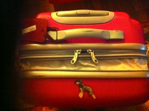 resväskan utan lås