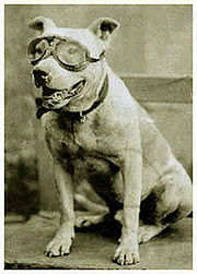 180px-Photo_bud_portrait