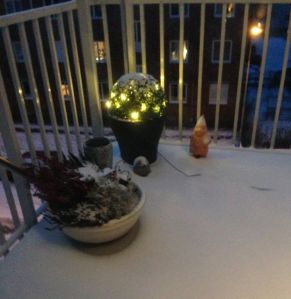 Den första snön