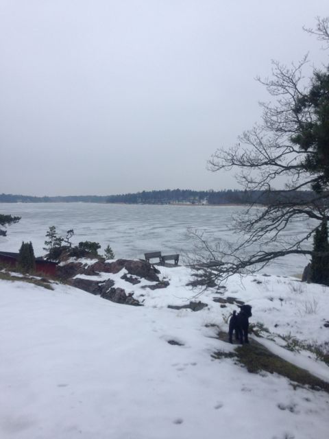 Ja, ja … Skatan haaar varit hemma ett&nbsp;tag