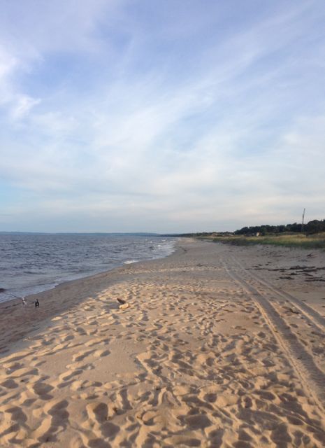 Kvällsrundan i Furuboda