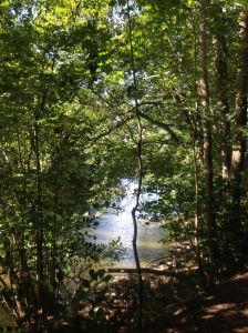 månadsbilden augusti