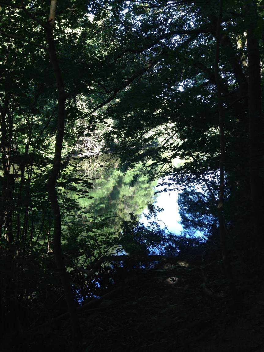 Månadsbilden 20 augusti&nbsp;2015