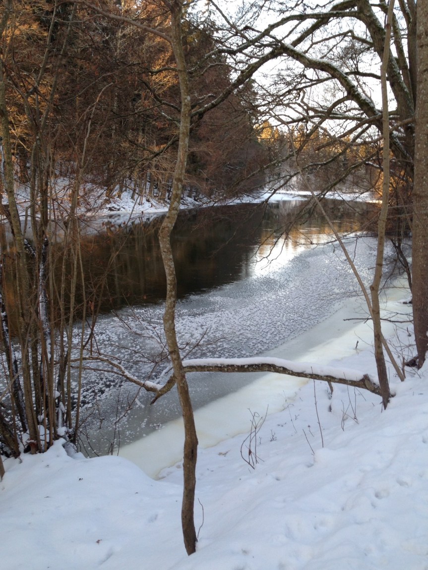 Carpe diem – Månadsbilden en dag i&nbsp;förväg