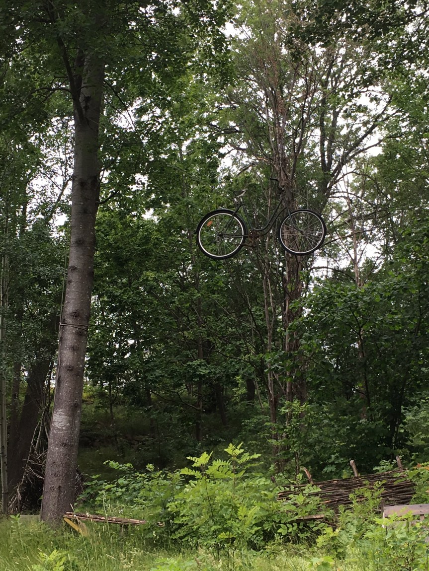 Månadsbilden för juni&nbsp;2017